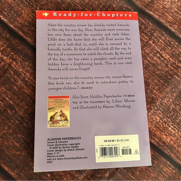 📚 Short Chapter Book Bundle (4) - Picture 5 of 13